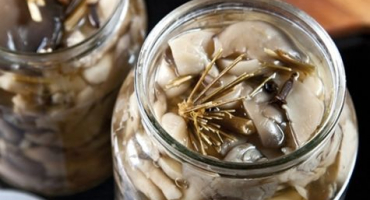 Recepty, jak rychle a chutně osolit hlívu ústřičnou doma